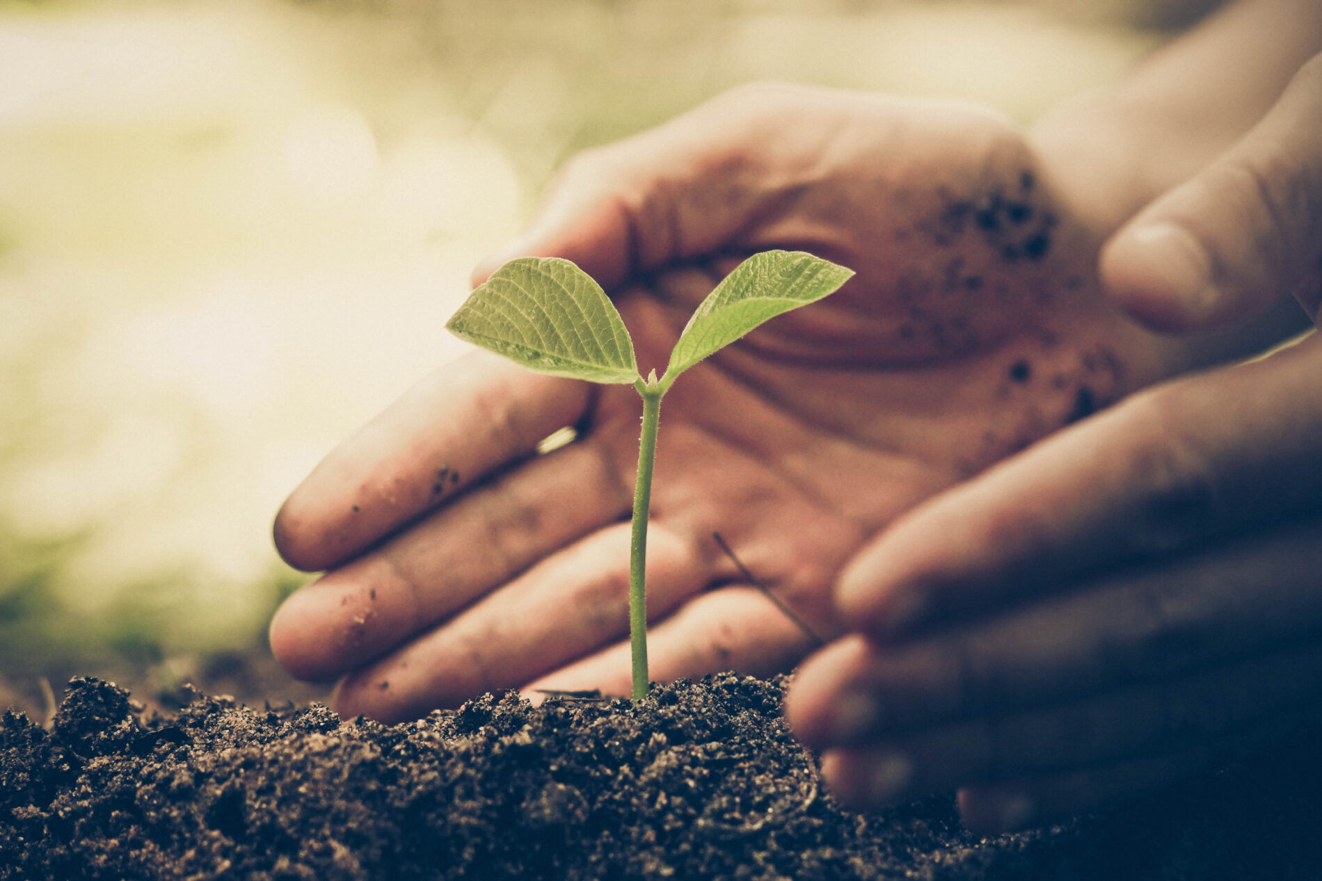 The Parable of Parables: What Kind of Soil Are You? - Walk Thru The Bible